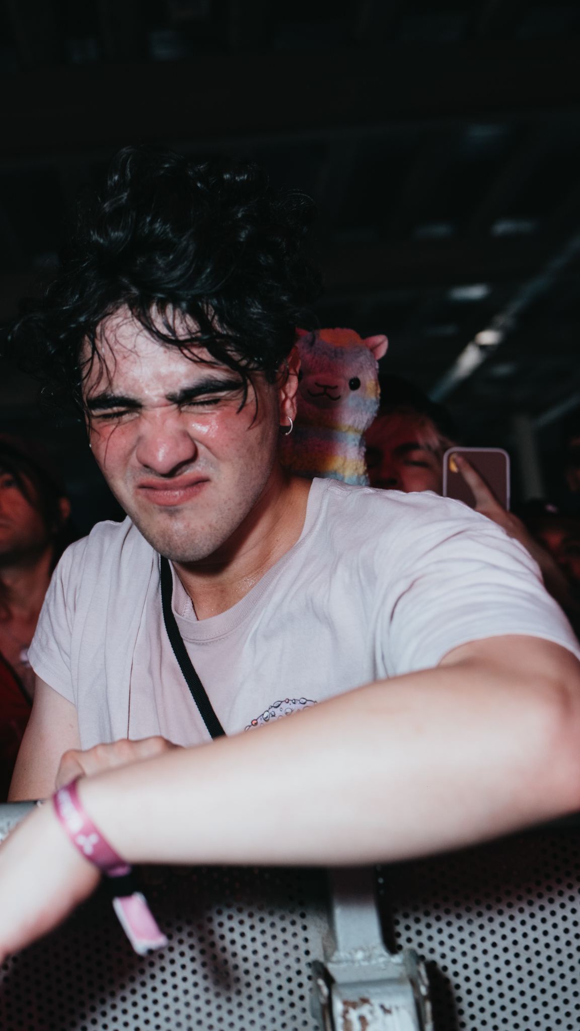 Fan emocionado en primera fila con peluche